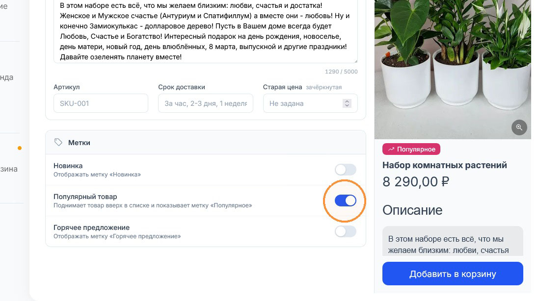 Второй переключатель активен, и вместо новинки над ценой 8 290 ₽ показана метка «Популярное»